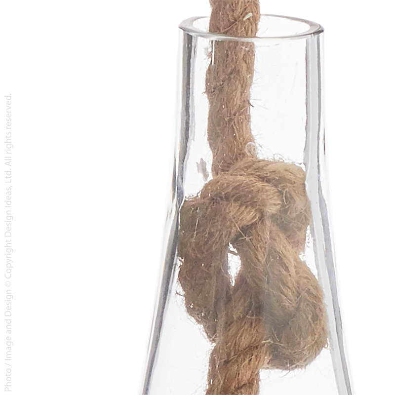 Design Ideas Boboli Glass Indoor Terrarium Wayfair